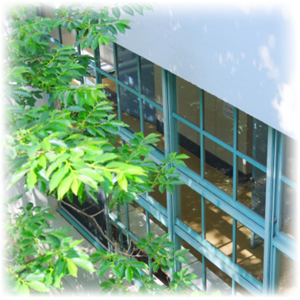 横浜の教育環境